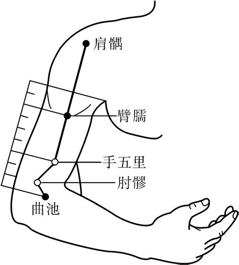 臂儒穴|醫砭 » 經穴庫 » 臂臑